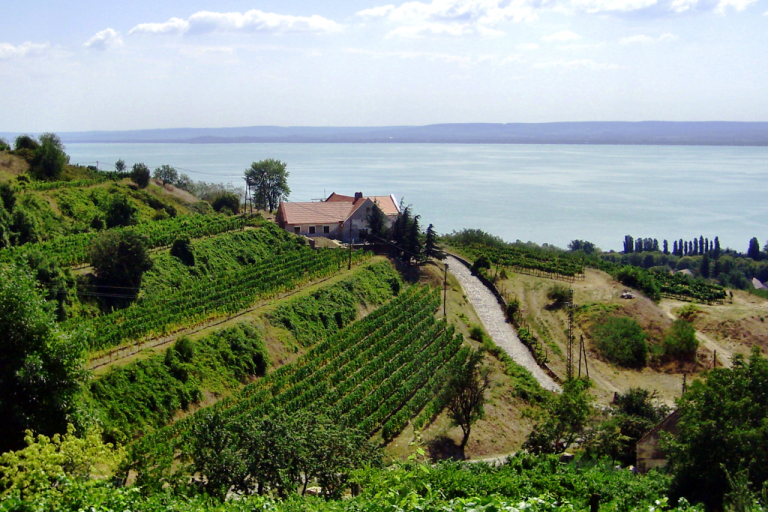 Balatonboglári Zalai Borvidék Kóstoló Tuba Tanya 1615